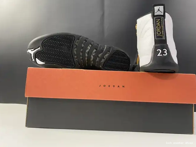 Reps LUCY Royalty Air CT8013-170 Jordan 12 0616